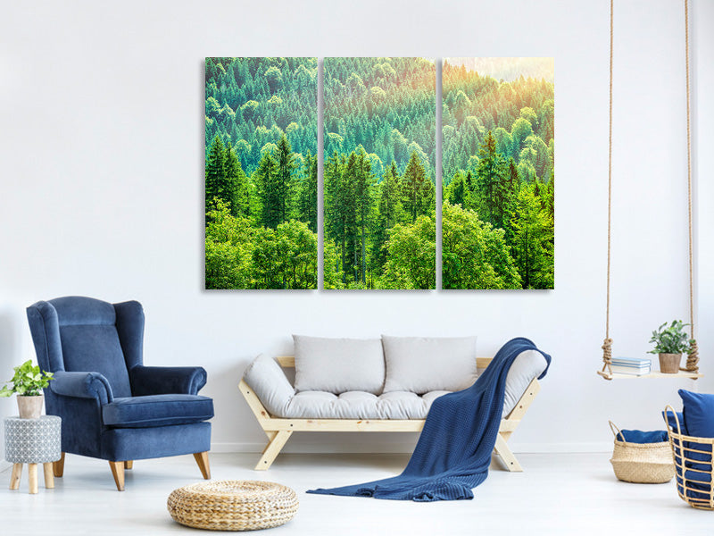 3-piece-canvas-print-the-forest-hill