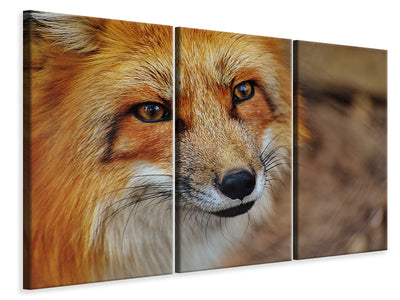 3-piece-canvas-print-the-fox