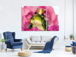 3-piece-canvas-print-the-frog-prince