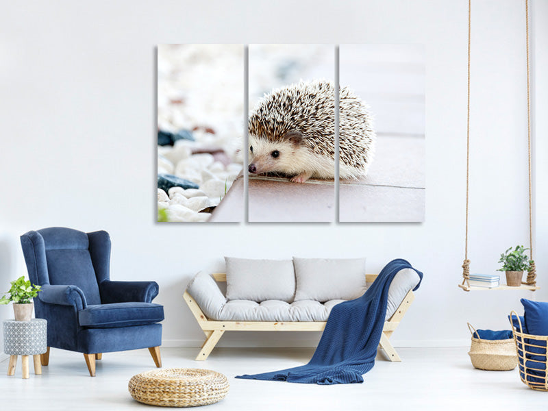 3-piece-canvas-print-the-hedgehog-baby