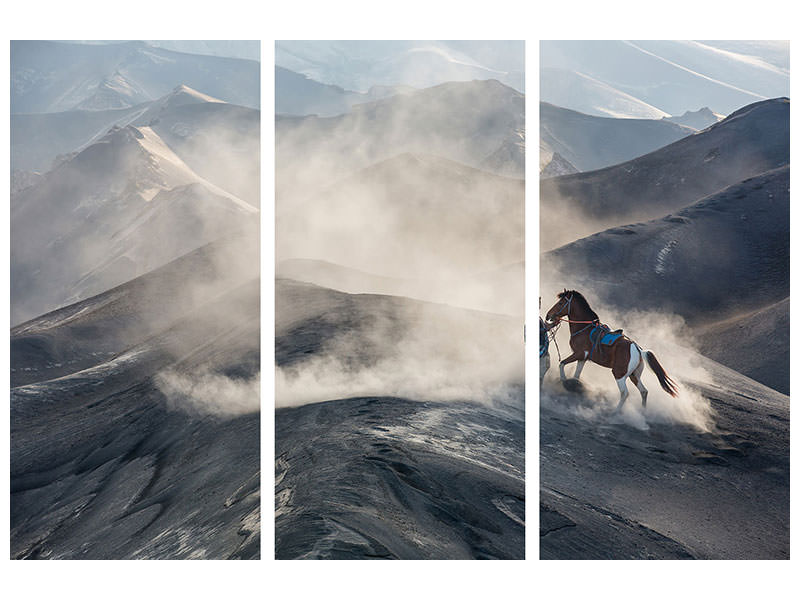 3-piece-canvas-print-the-horseman