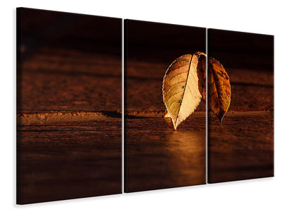 3-piece-canvas-print-the-leaf