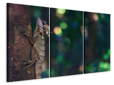 3-piece-canvas-print-the-lizard