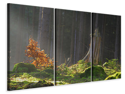 3-piece-canvas-print-the-magic-in-the-forest