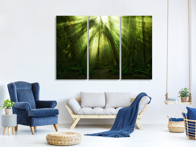 3-piece-canvas-print-the-miracle