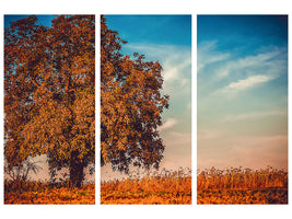 3-piece-canvas-print-the-nut-tree