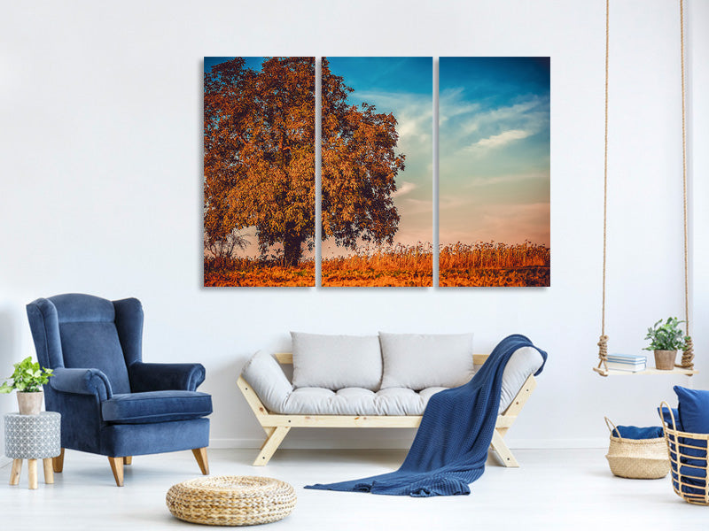 3-piece-canvas-print-the-nut-tree