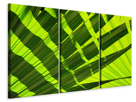 3-piece-canvas-print-the-palm-leaf-in-xl