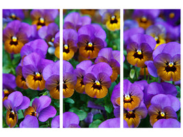 3-piece-canvas-print-the-pansies