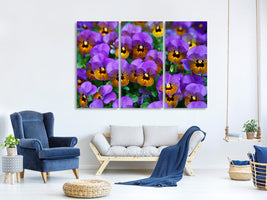 3-piece-canvas-print-the-pansies