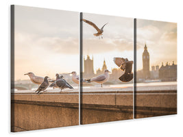 3-piece-canvas-print-the-pigeons-on-the-roof