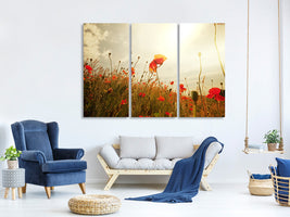 3-piece-canvas-print-the-poppy-field-at-sunrise