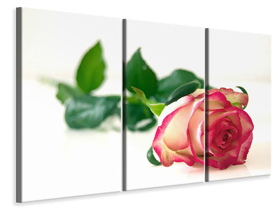 3-piece-canvas-print-the-proud-rose