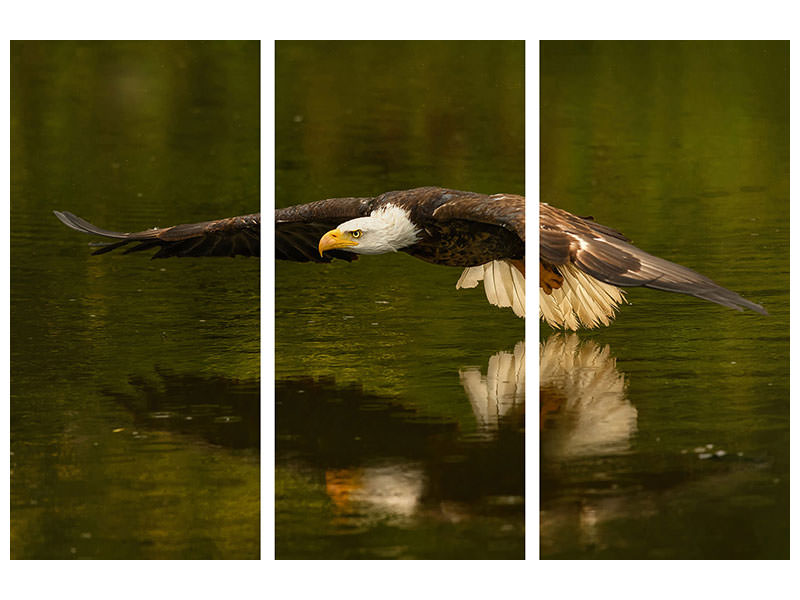 3-piece-canvas-print-the-reflective-pond