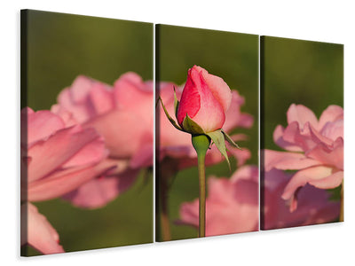 3-piece-canvas-print-the-rosebud
