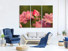 3-piece-canvas-print-the-rosebud