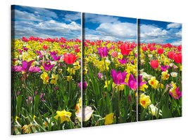 3-piece-canvas-print-the-spring-awakening