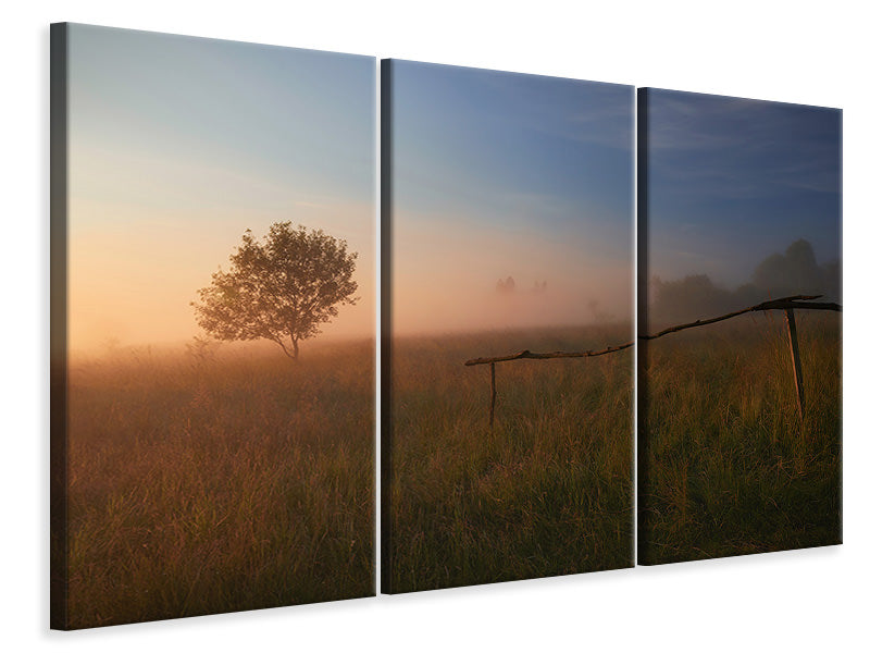 3-piece-canvas-print-the-summer-field