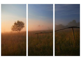 3-piece-canvas-print-the-summer-field