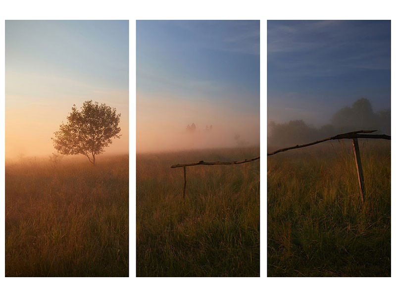 3-piece-canvas-print-the-summer-field