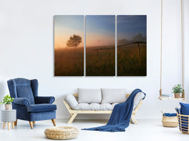 3-piece-canvas-print-the-summer-field