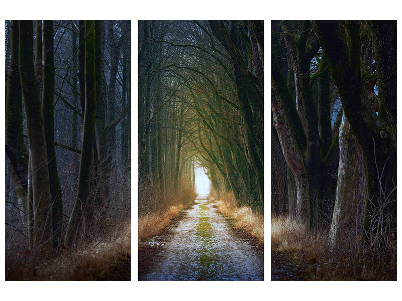 3-piece-canvas-print-the-tree-avenue