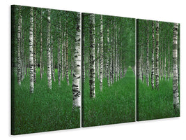 3-piece-canvas-print-the-tunnel