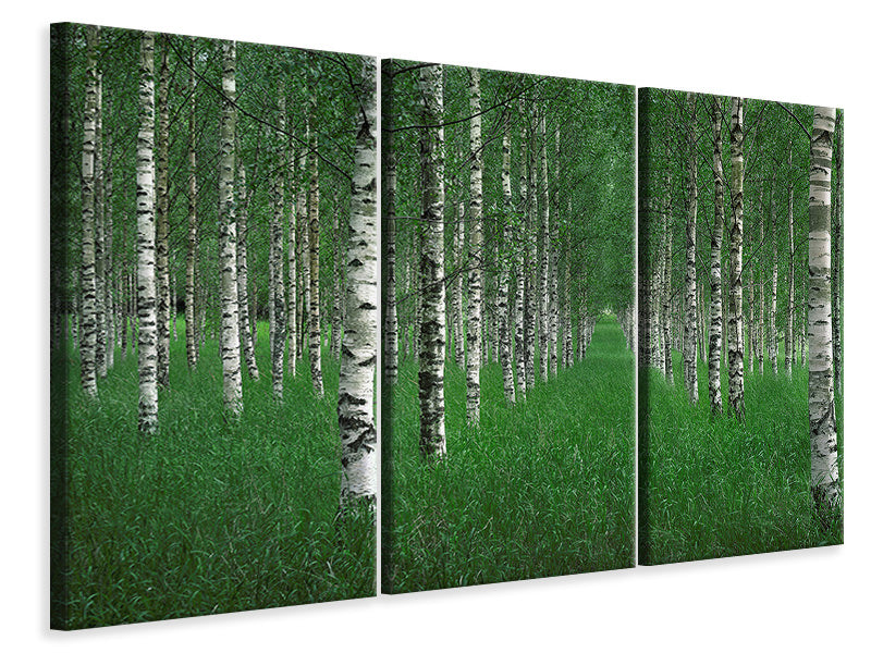 3-piece-canvas-print-the-tunnel