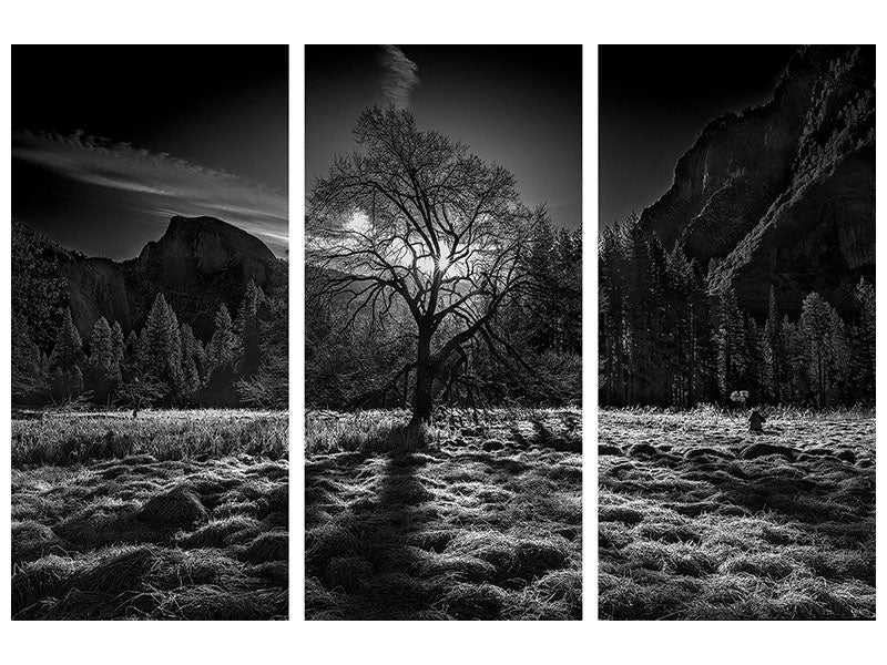 3-piece-canvas-print-the-winter-spirit