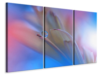 3-piece-canvas-print-touch-me-softly