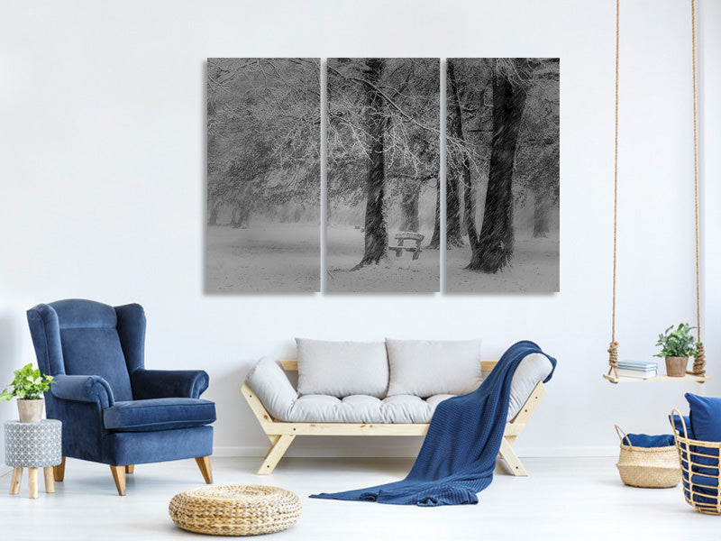 3-piece-canvas-print-transformation