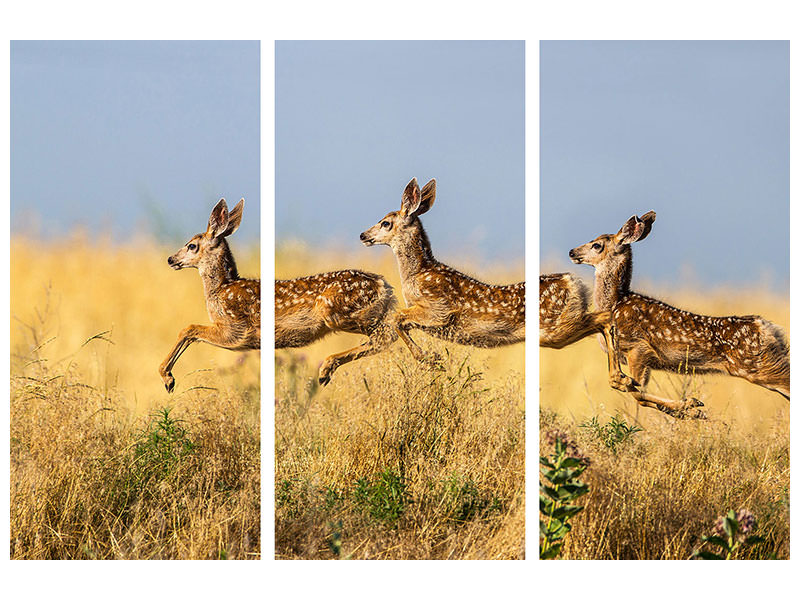 3-piece-canvas-print-tripple-jump