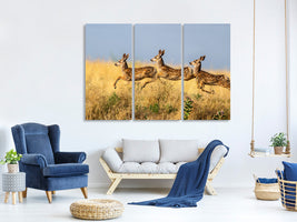 3-piece-canvas-print-tripple-jump