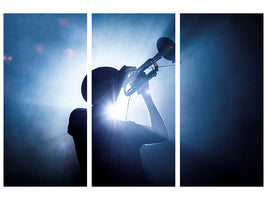 3-piece-canvas-print-trumpet-player