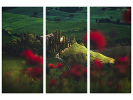 3-piece-canvas-print-tuscany-spring-blossoms