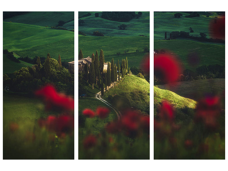 3-piece-canvas-print-tuscany-spring-blossoms