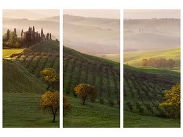 3-piece-canvas-print-tutte-le-strade-portano-a-belvedere