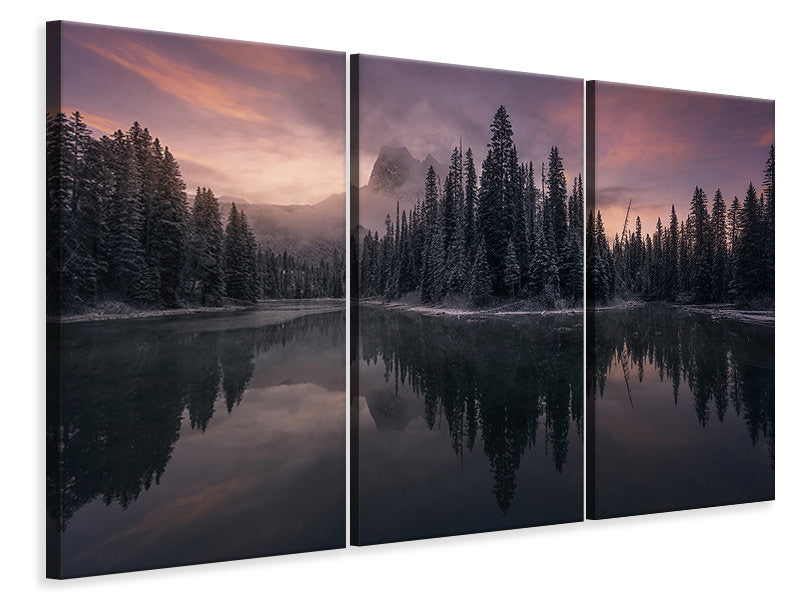 3-piece-canvas-print-untitled-lxv