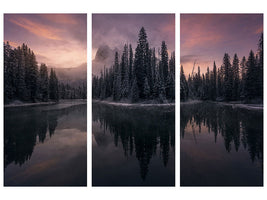 3-piece-canvas-print-untitled-lxv