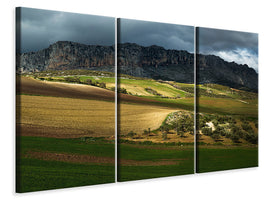 3-piece-canvas-print-villanueva-de-la-concepcion