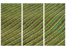 3-piece-canvas-print-vineyard