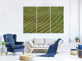 3-piece-canvas-print-vineyard