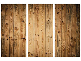 3-piece-canvas-print-walnut-wood