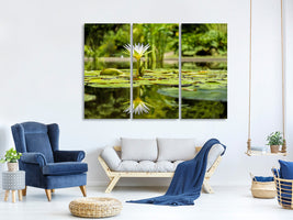 3-piece-canvas-print-water-lily-in-nature