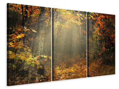 3-piece-canvas-print-we-love-autumn