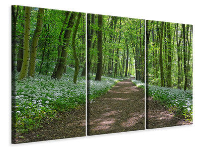 3-piece-canvas-print-we-love-the-summer-in-the-woods