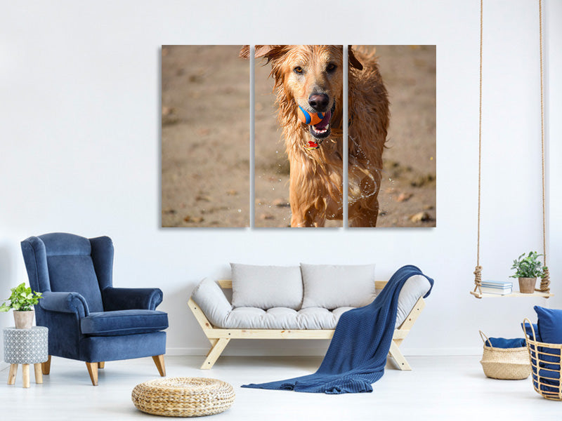 3-piece-canvas-print-wet-dog