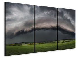 3-piece-canvas-print-whales-mouth