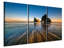 3-piece-canvas-print-wharaiki-beach