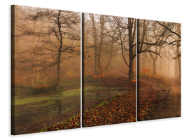 3-piece-canvas-print-which-path-ii